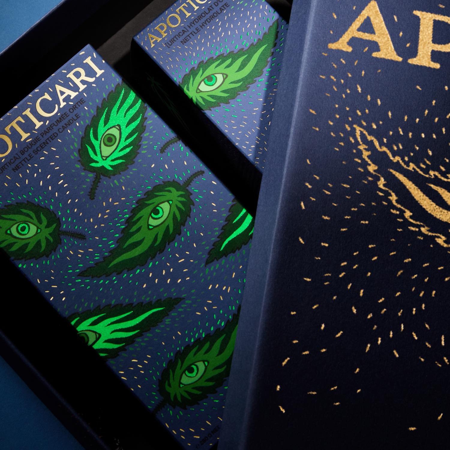 URTICA : une collaboration hivernale entre plante, art et artisanat.