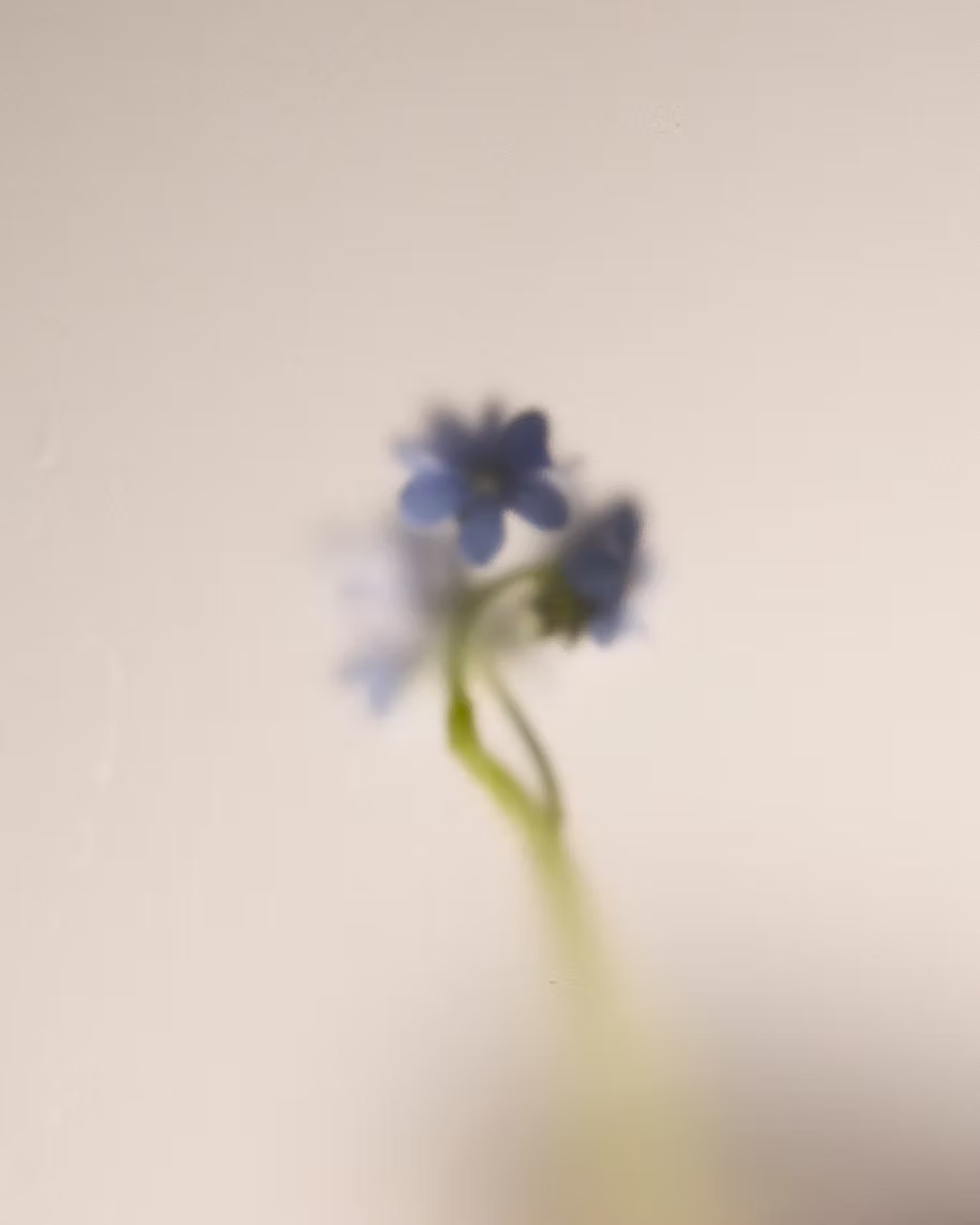 Comprendre les besoins des peaux sensibles