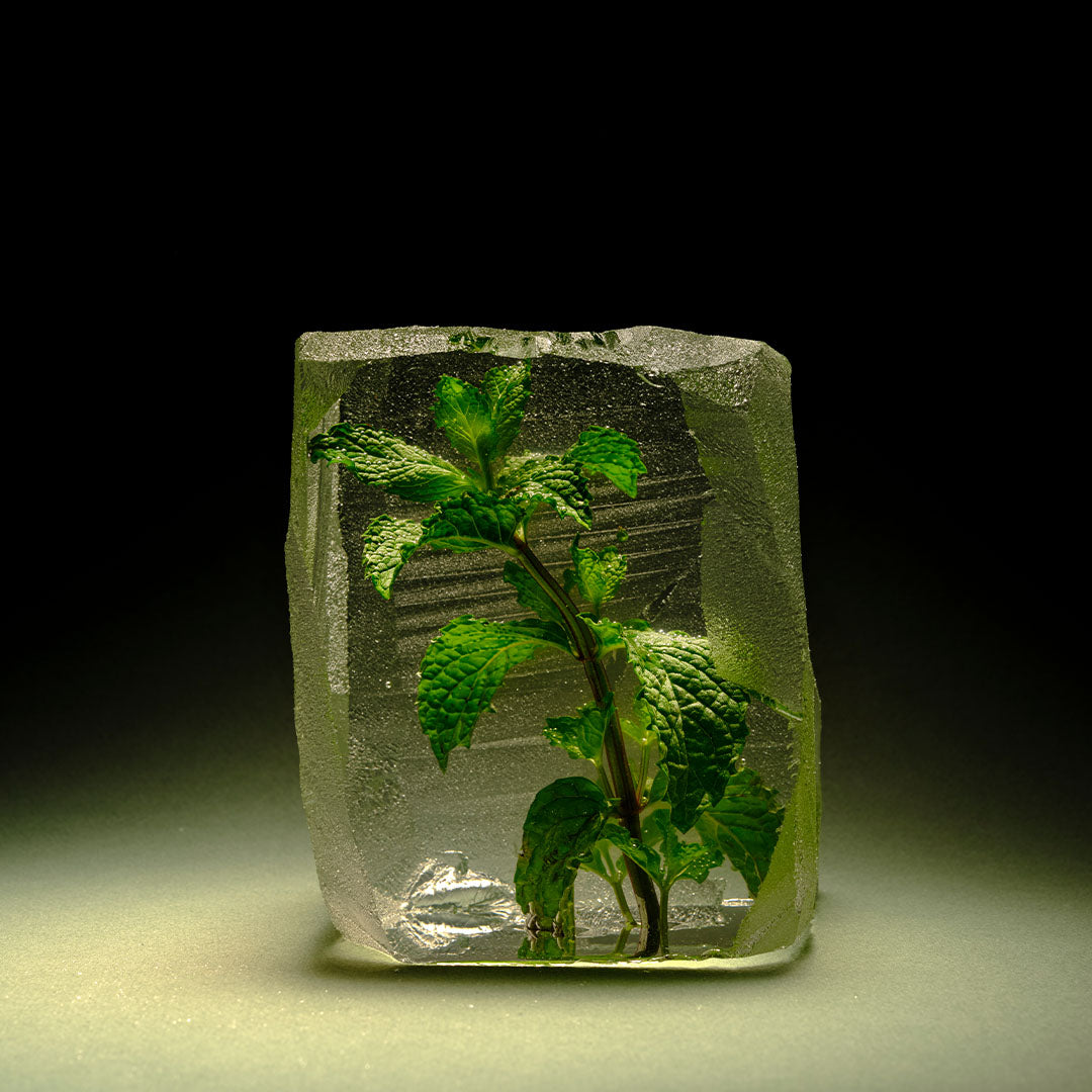 Hydrolat de Menthe Poivrée Bio - 100% naturel